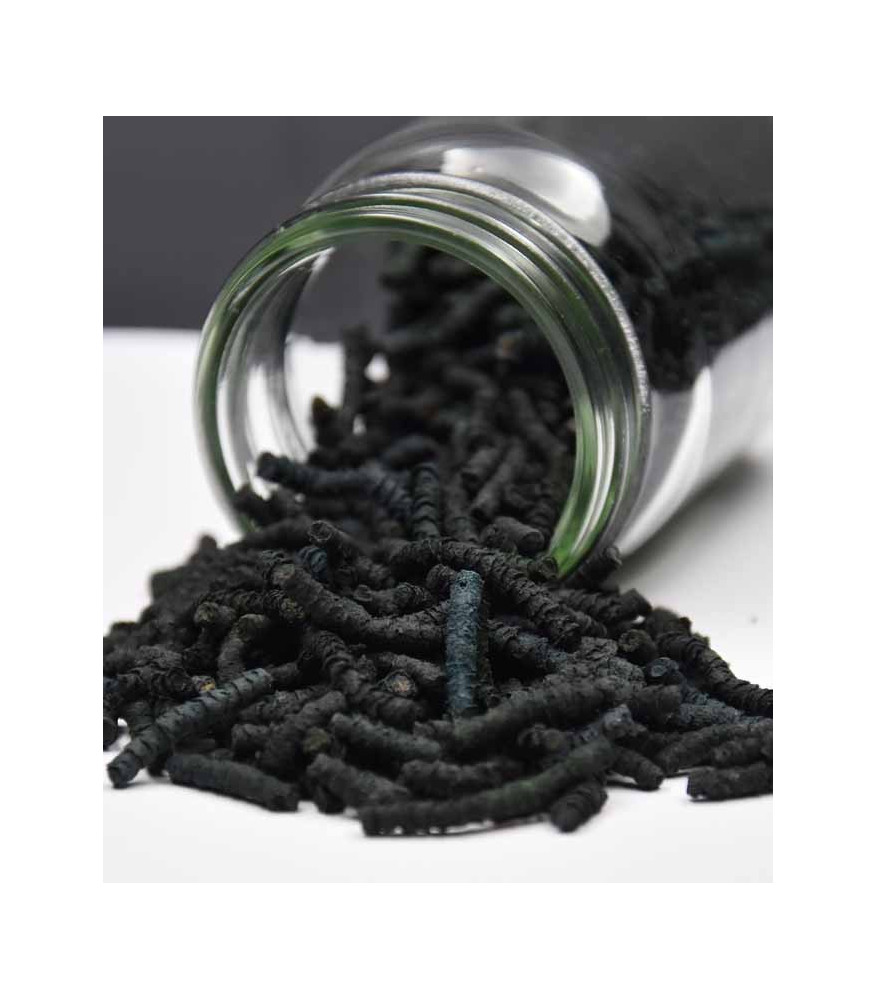 spiruline