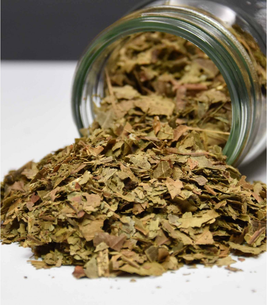 Noyer feuille