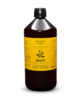 Vermital Solution B63TE｜Équilibre digestif