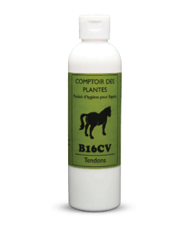 Crème tendons douloureux - congestion cheval BIO