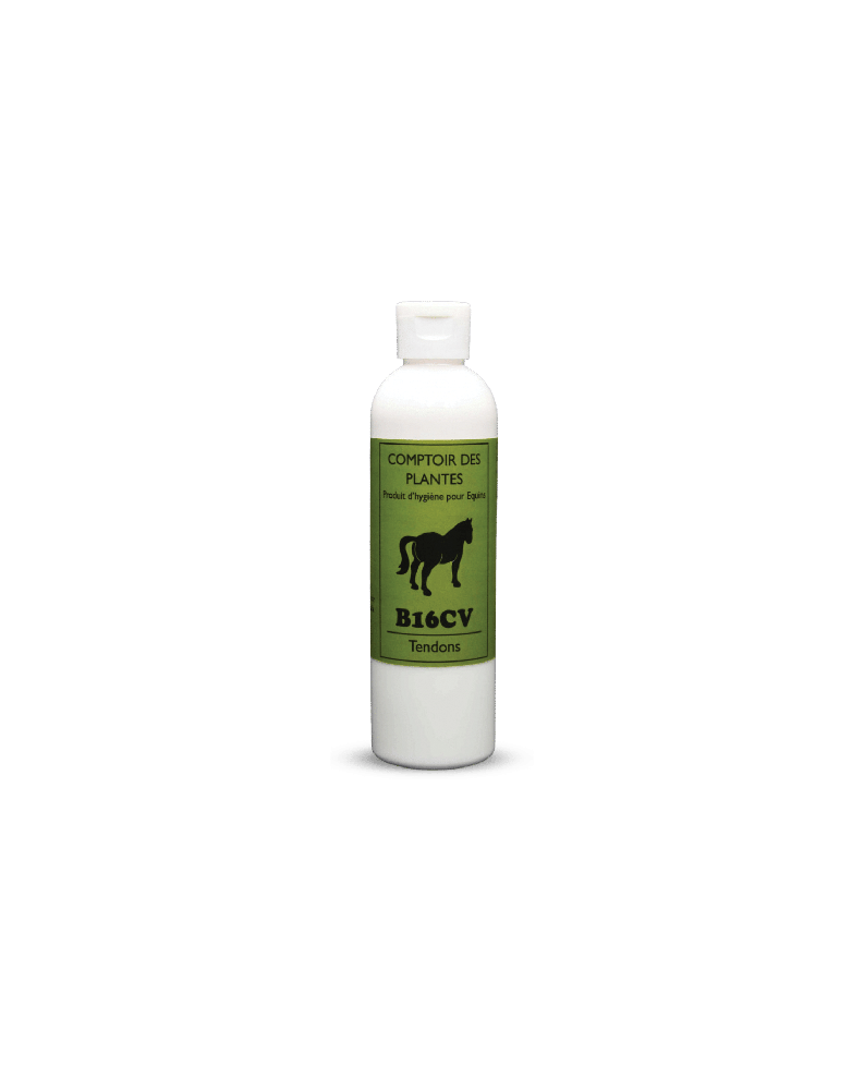 Crème tendons douloureux - congestion cheval BIO