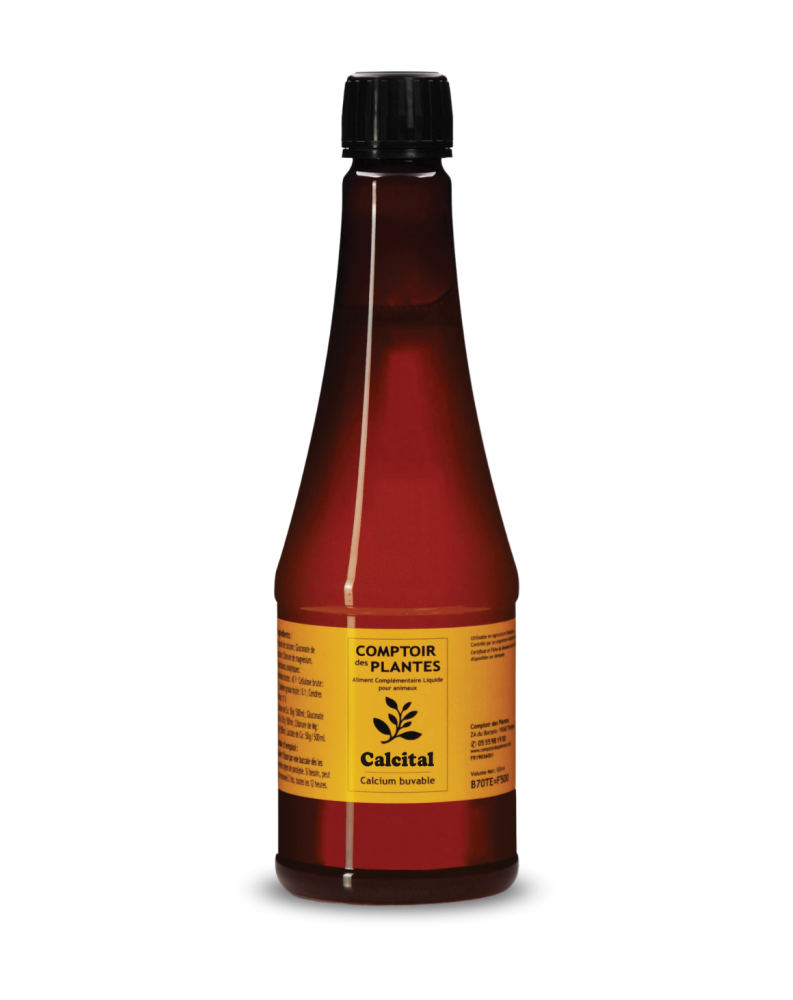 Apport Calcium liquide bio bovins fièvre de lait