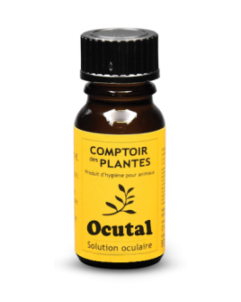 Solution oculaire naturelle en cas de début d’œil blanc