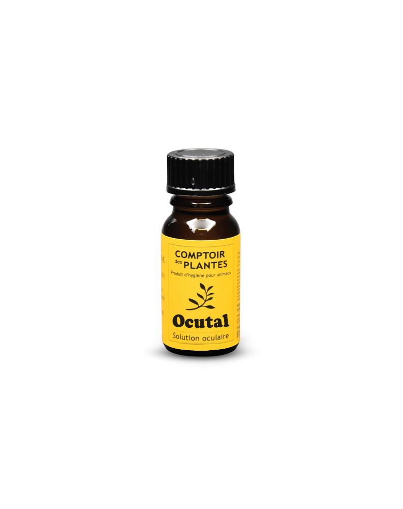 Solution oculaire naturelle en cas de début d’œil blanc
