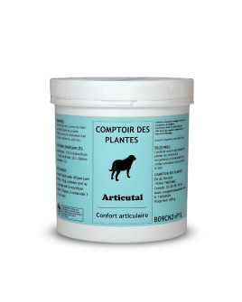 Arthrose articulation boiterie douleurs | naturel | Chien | Bio