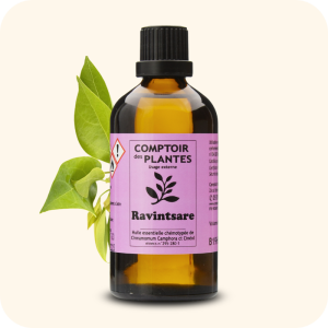 Ravintsare