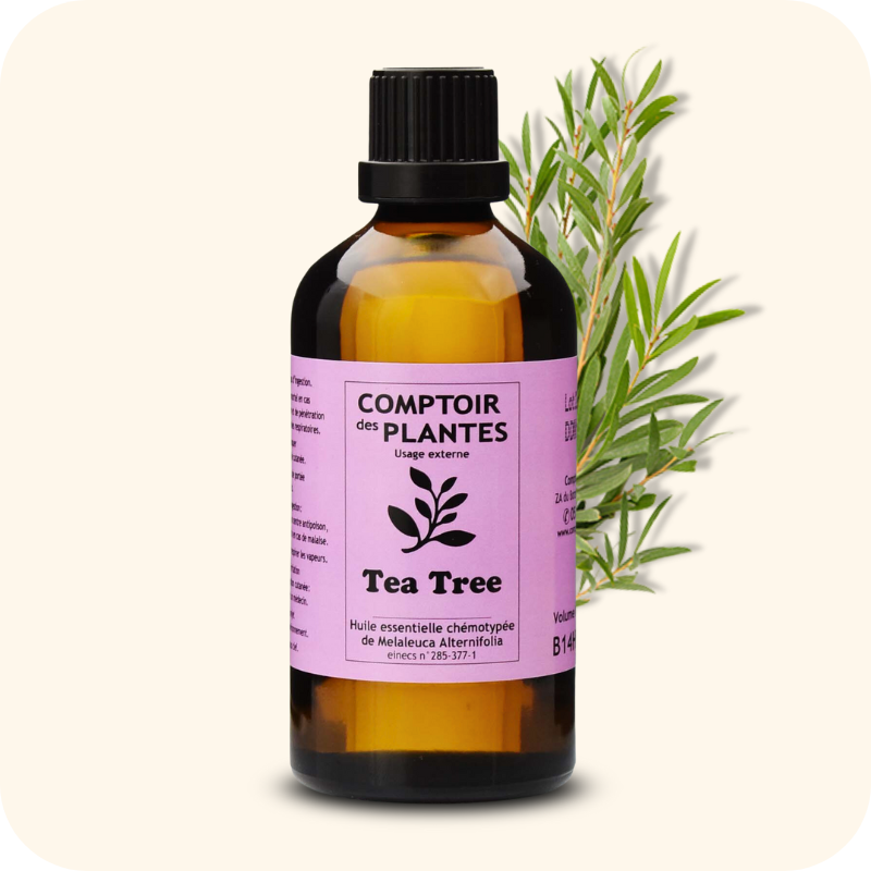 Tea tree