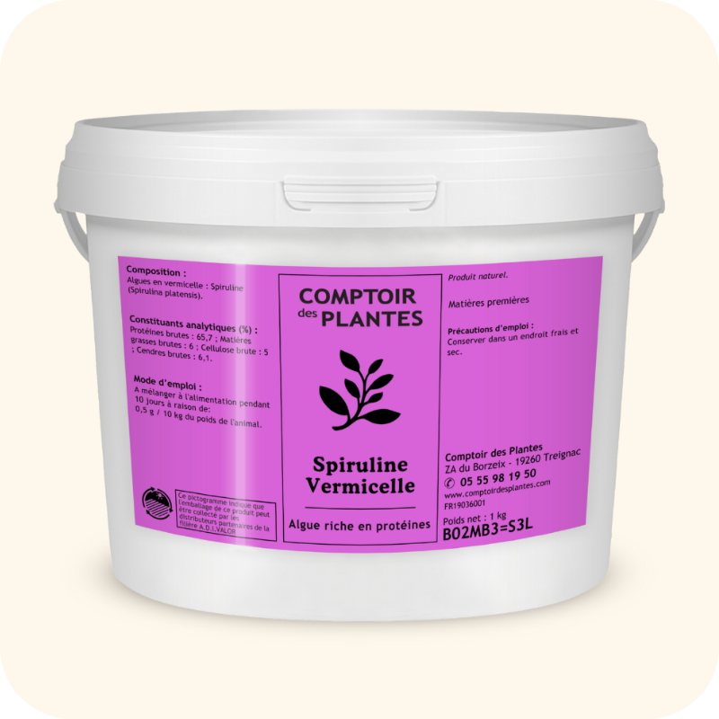 Spiruline Vermicelle | Bio