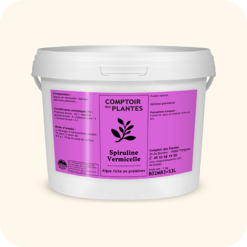 Spiruline Vermicelle | Bio