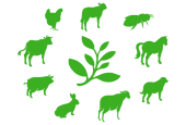 Comptoir des plantes